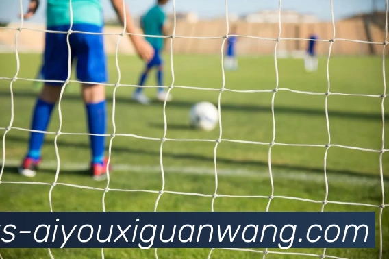 平台使命图